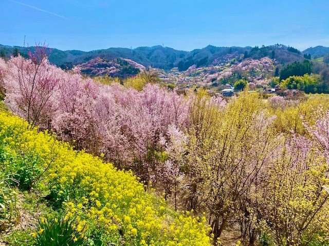 メインイメージ