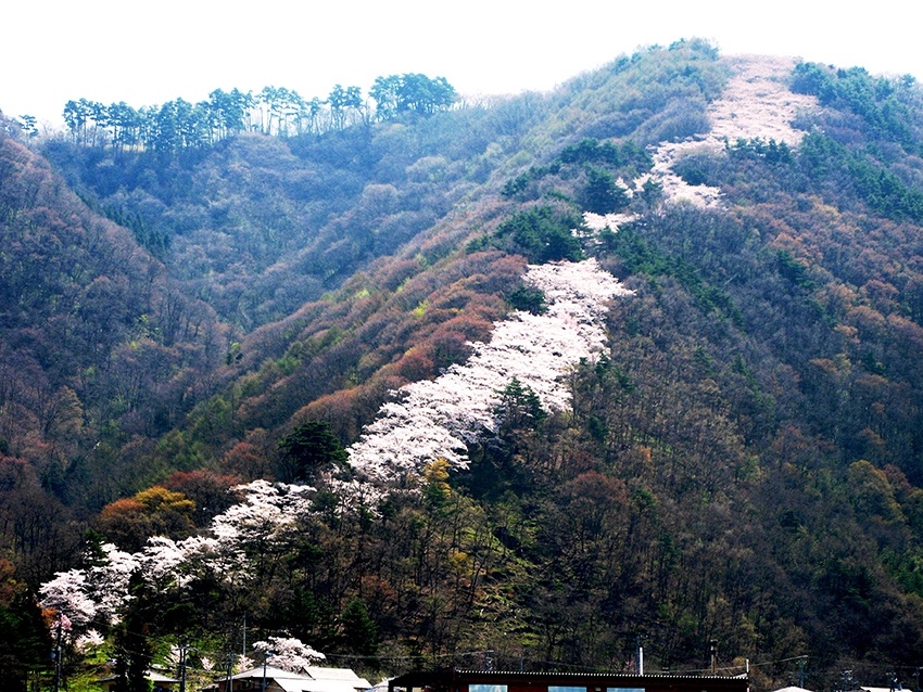 メインイメージ