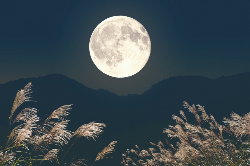 メインイメージ