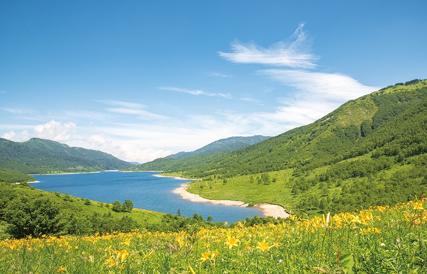 メインイメージ