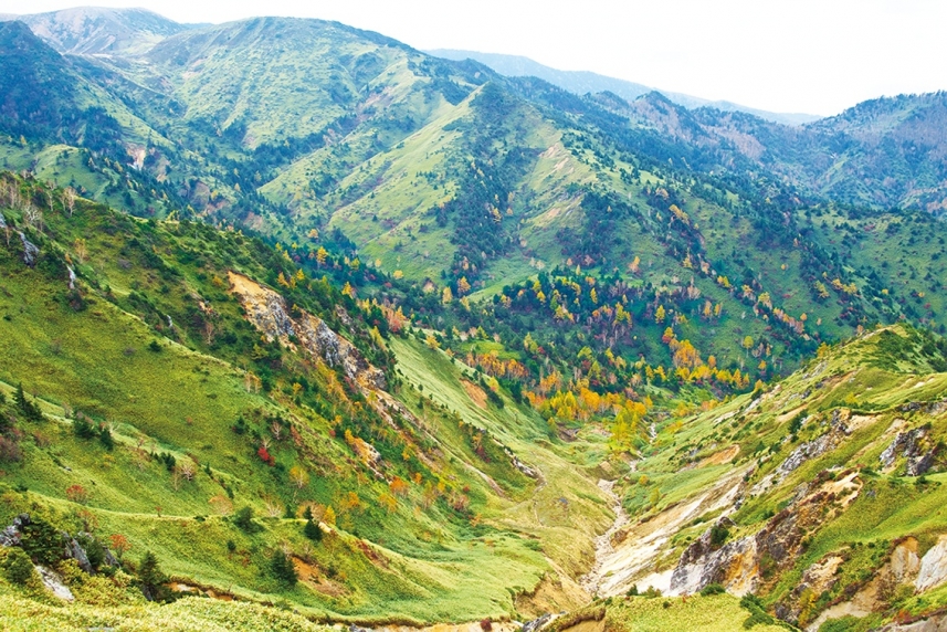 メインイメージ