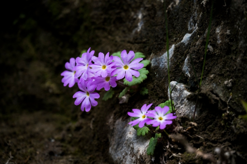 メインイメージ