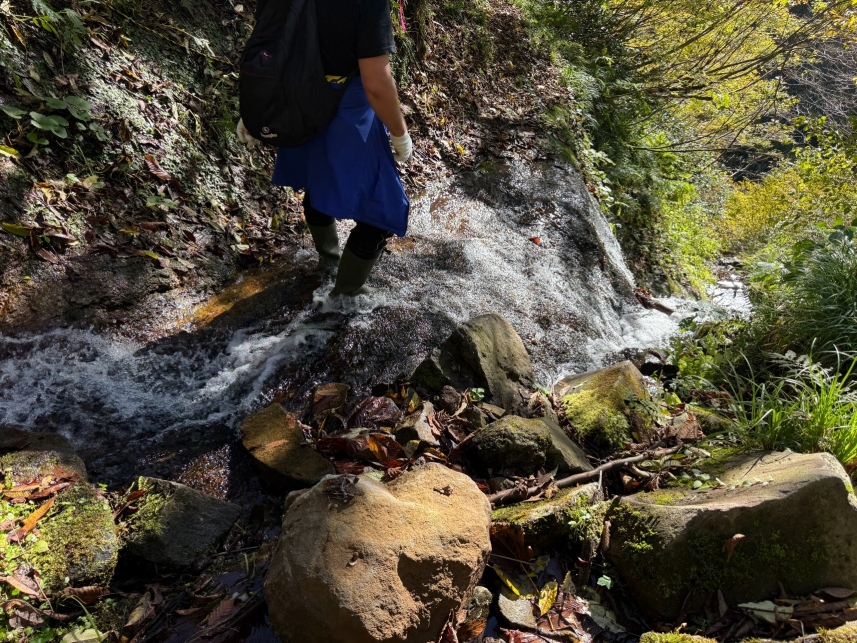 メインイメージ