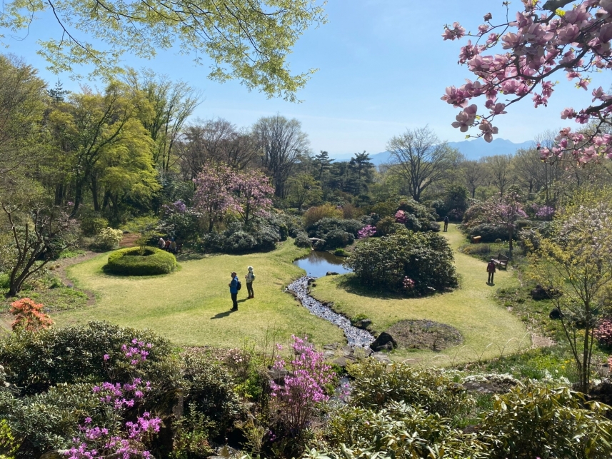 メインイメージ