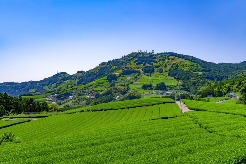 メインイメージ