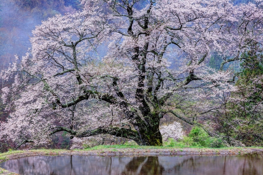 メインイメージ