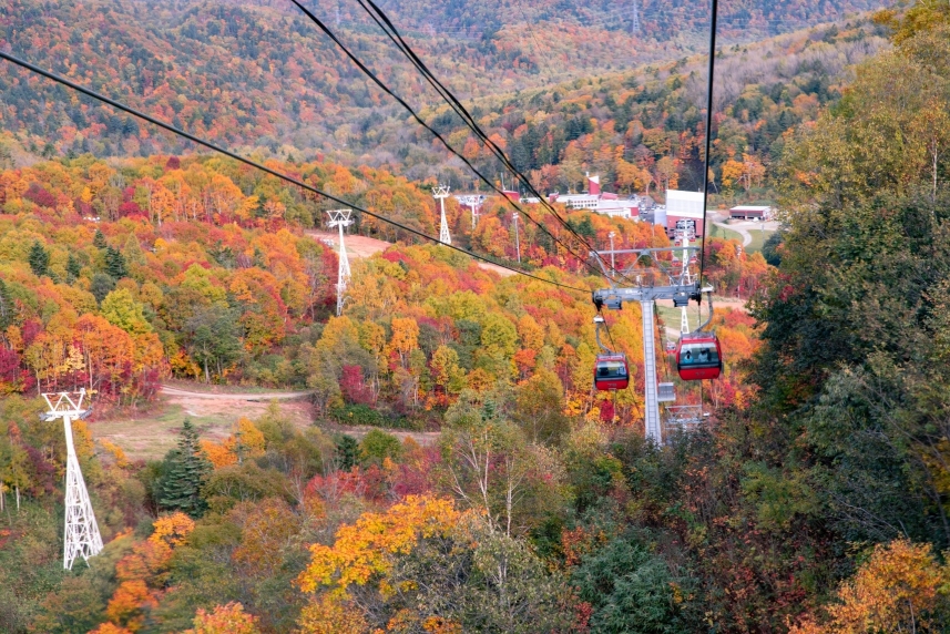 メインイメージ