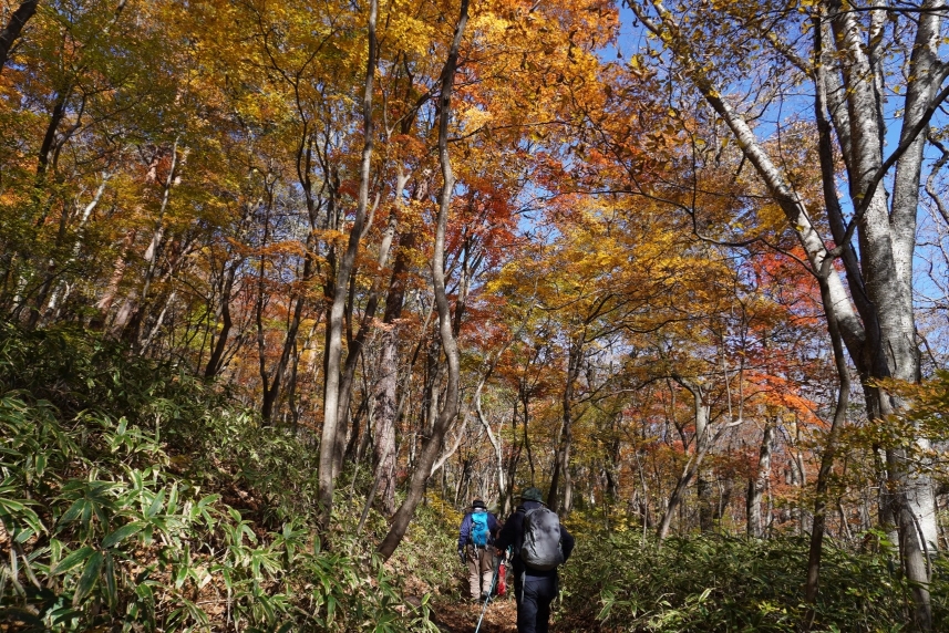メインイメージ