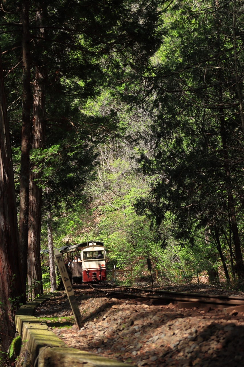 メインイメージ