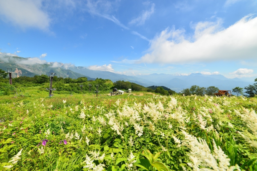 メインイメージ