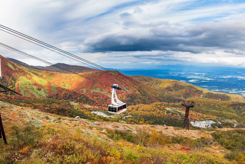 メインイメージ