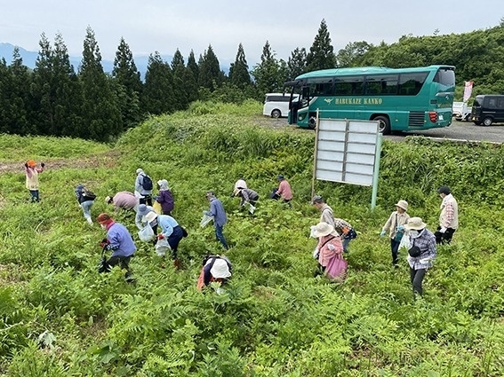 メインイメージ