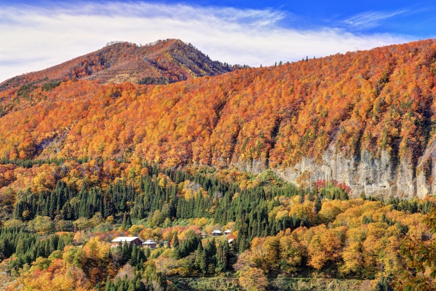 メインイメージ