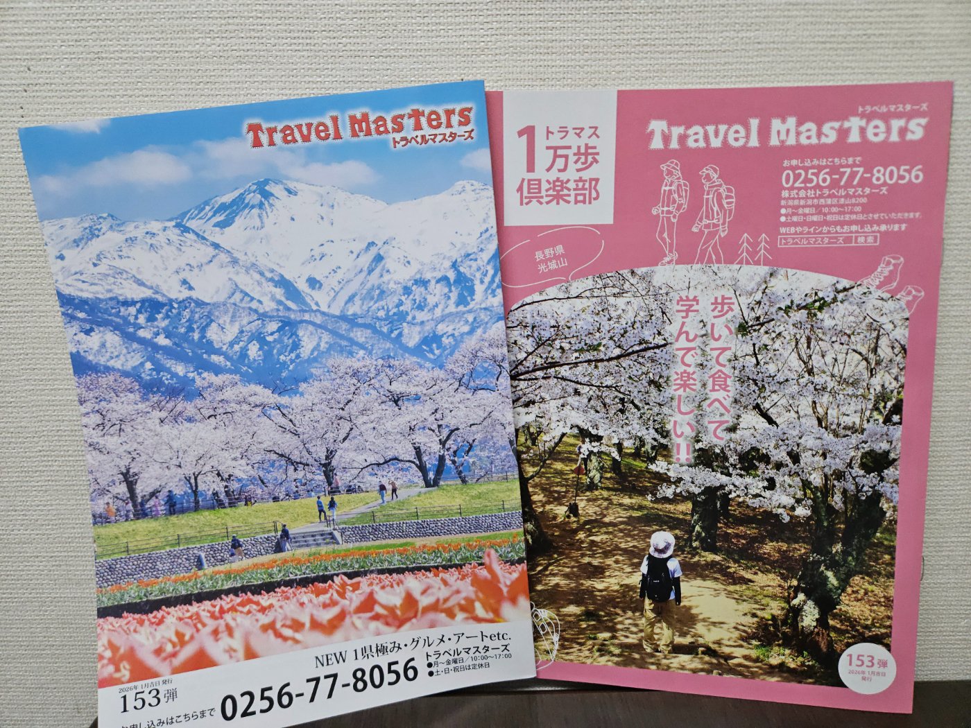 新聞折り込みされないバスツアーのNEWパンフレット完成