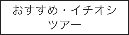 おすすめ・イチオシツアー